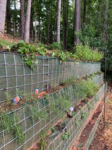 Retaining Walls to Stop Erosion